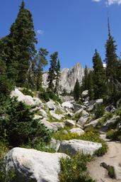 Lone peak looms between the trees [sat aug 23 11:44:48 mdt 2025]
